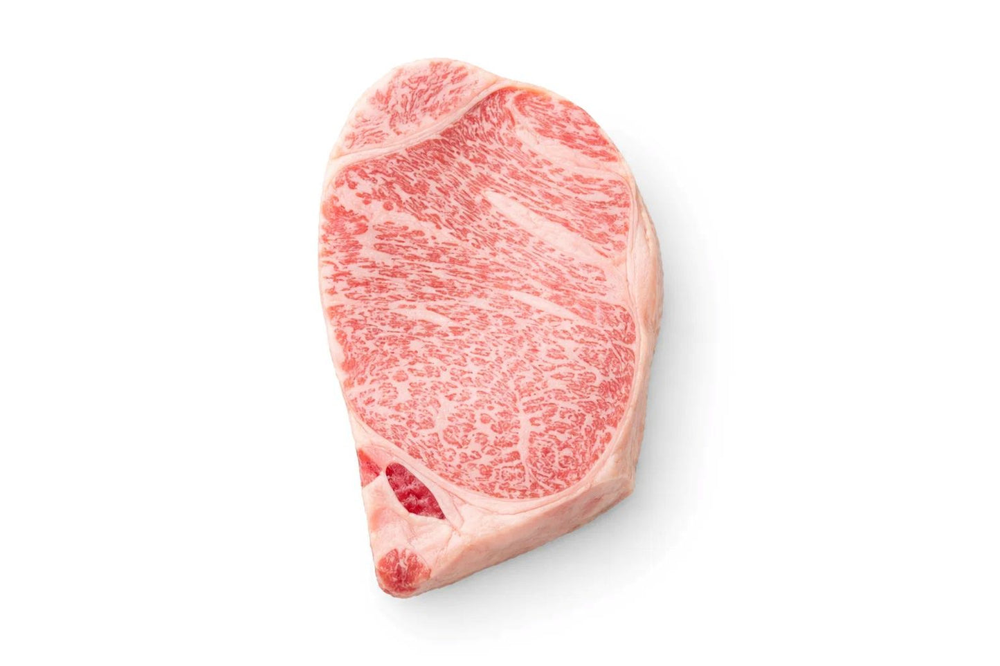 Japanese Wagyu - Chuck Roll